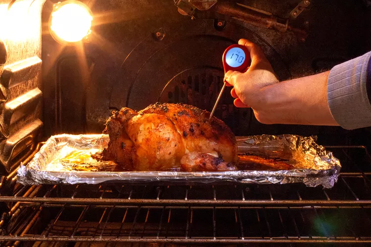 Thermapen